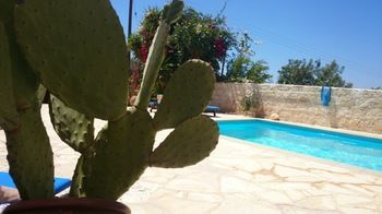 Prickly Pear Hotel Néo Horió Kültér fotó